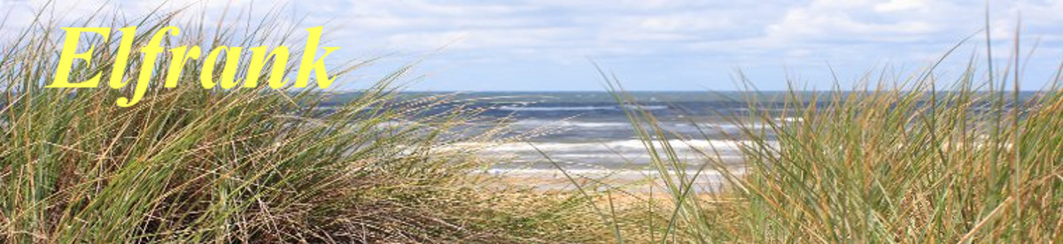 Elfrank, vakantie in Bergen aan Zee
